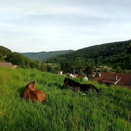 Gite De Famille Dans Les Vosges Saint-Maurice-sur-Moselle Exteriör bild