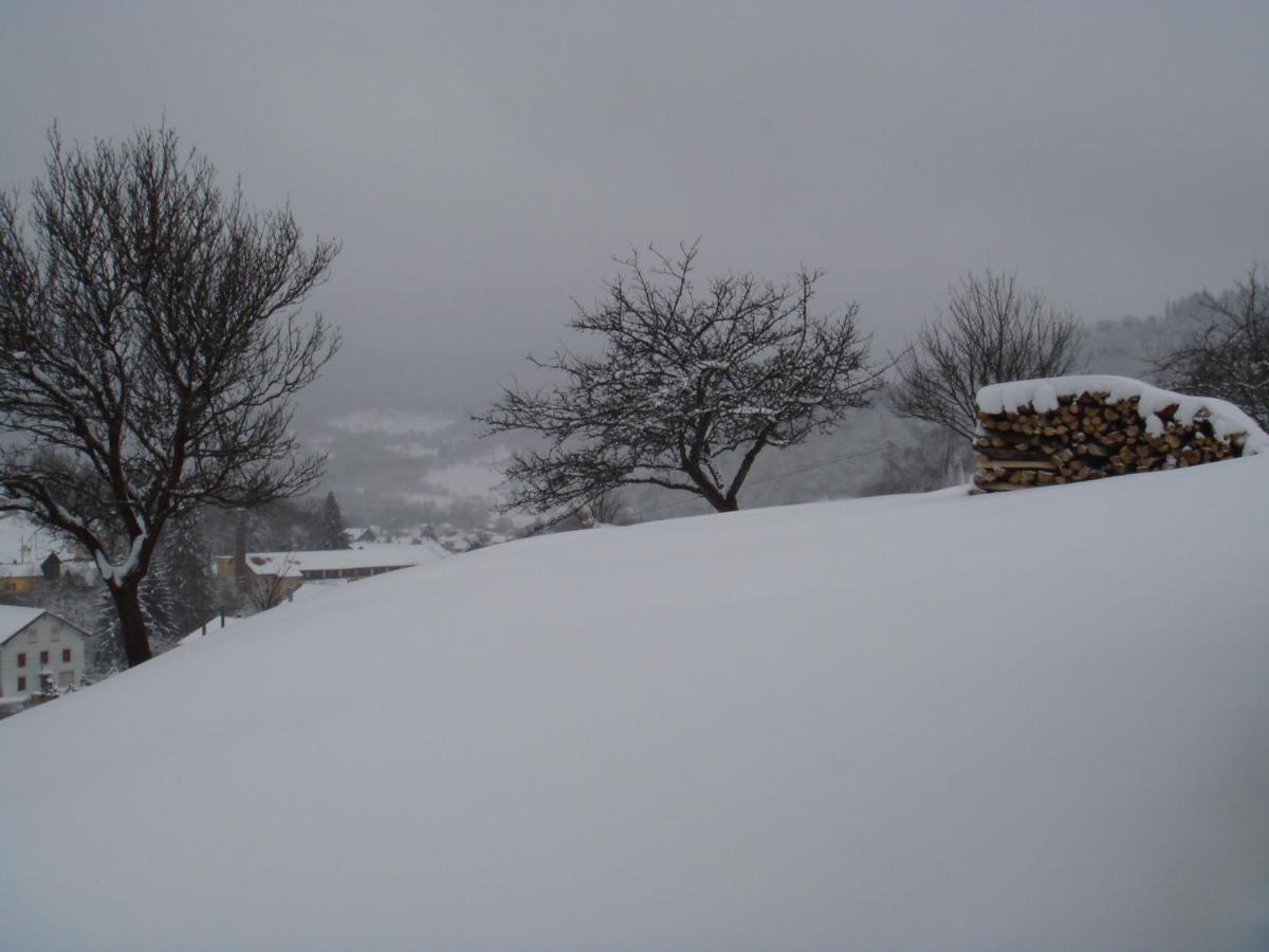 Gite De Famille Dans Les Vosges Saint-Maurice-sur-Moselle Exteriör bild