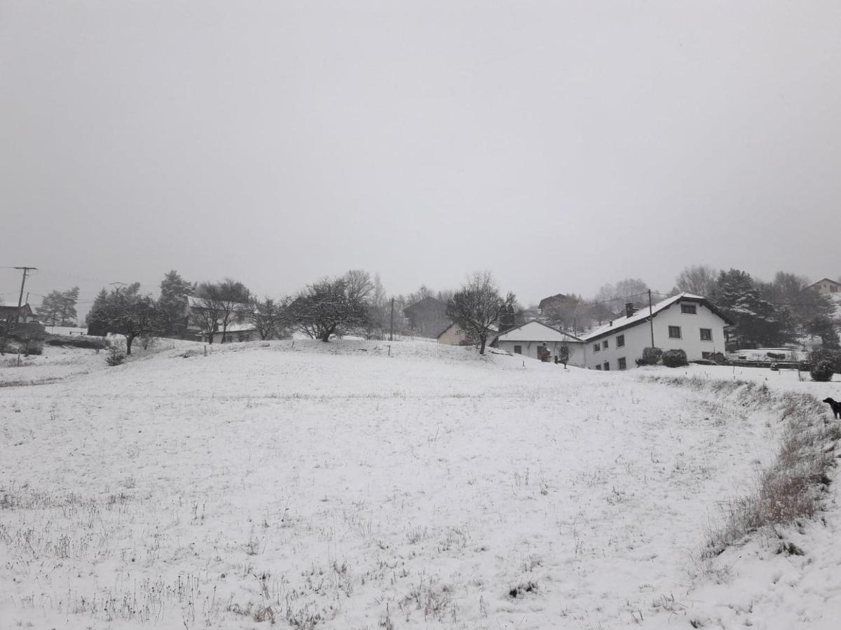 Gite De Famille Dans Les Vosges Saint-Maurice-sur-Moselle Exteriör bild