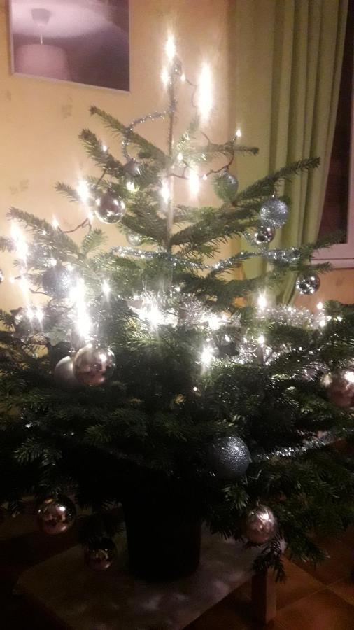 Gite De Famille Dans Les Vosges Saint-Maurice-sur-Moselle Exteriör bild